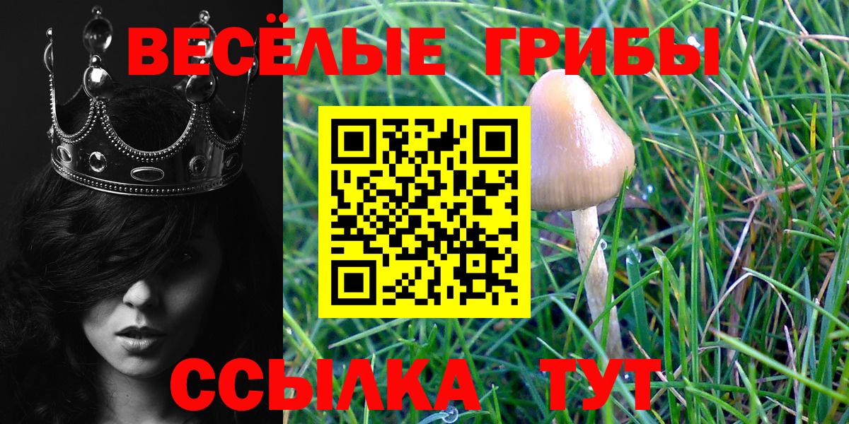 Галлюциногенные грибы мухоморы  Вход с VPN  Арзамас 