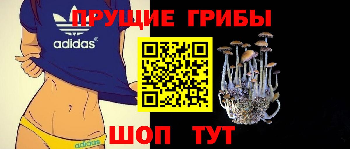 Псилоцибиновые грибы мухоморы Арзамас